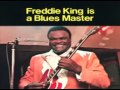 Freddie King - That Will Never Do