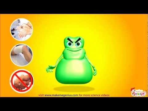 Bacteria for Kids - Animation Video