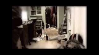 besatree and lightfighter - Burner