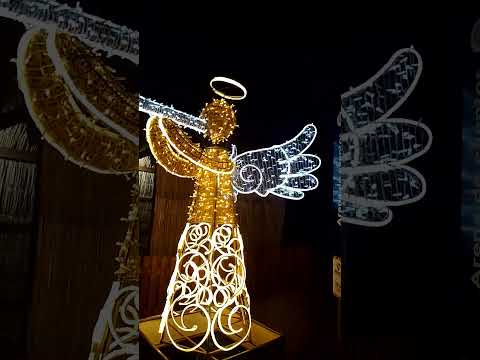 parque da cidade em Jaboatão dos Guararapes tudo muito lindo parabéns