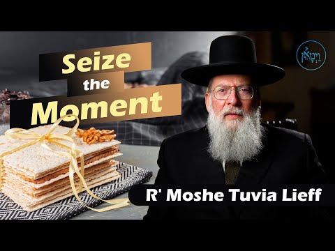 Seize the Moment | Rabbi Moshe Tuvia Lieff