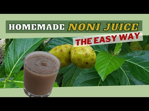Noni Juice BENEFITS, RECIPE, PRECAUTIONS & more / Earth's Medicine