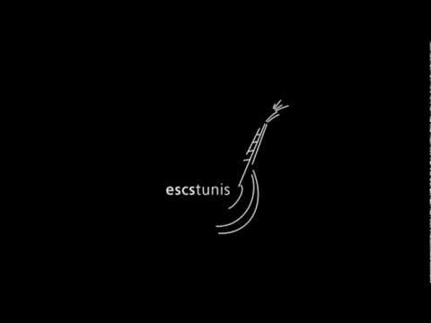 escstunis - Olh'á escstunis