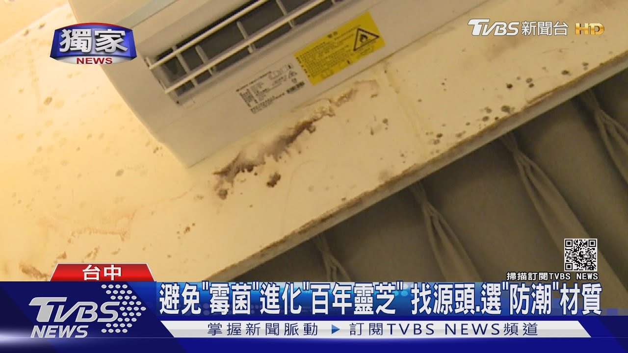 避免「霉菌」進化「百年靈芝」 找源頭、選「防潮」材質