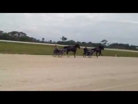 Aperfectyankee & Recon