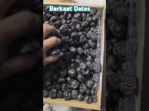 Original Ajwa Dates Importer