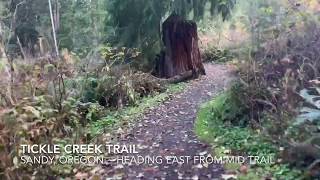 Hyperlapse of Tickle Creek Trail from roughly the midpoint to the East parking.