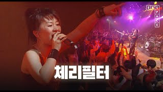체리필터 - 낭만 고양이 | SPACE LIVE