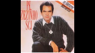 1990 1995 Padre Zezinho Os Melhores Momentos Regravações e Coletânea