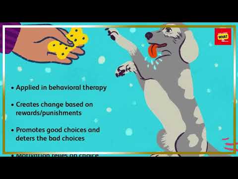 What is the difference between classical and operant conditioning in psychology