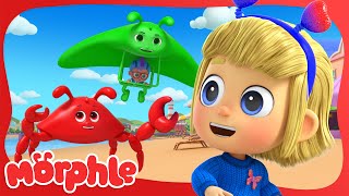 Morphle the Crabs Day at the Beach 🦀🏖️| BRAND NEW | Cartoons for Kids | Mila and Morphle