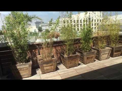 Beverly Hills Penthouse on Maple