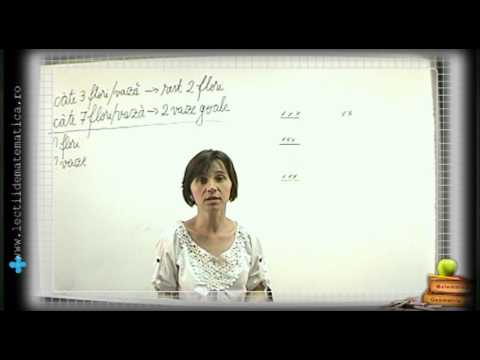 Exersăm metoda grafică / Problemă rezolvată / Clasa 4