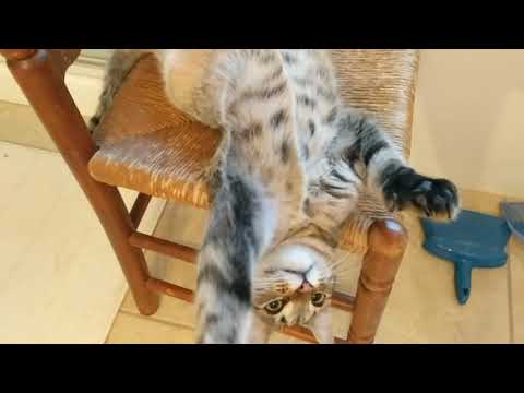 Leena being cute in the bathroom