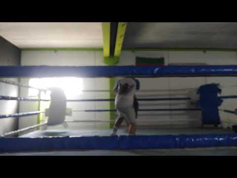 Bottle Toads Boxing @vsem_boks (1)