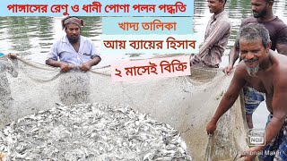 পাঙ্গাসের রেণু ও ধানী পোণা চাষ পদ্ধতি। যুব উন্নয়ন অধিদপ্তর থেকে প্রশিক্ষণ প্রাপ্ত মোজাম আলীর প্রকল্প।