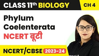NCERT बूटी: Phylum Coelenterata - Animal Kingdom | Class 11 Biology Chapter 4 | NCERT/CBSE