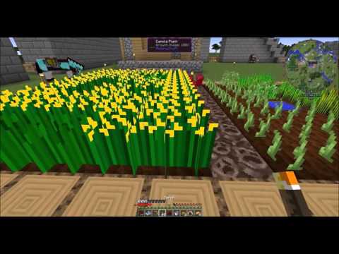 [HQM] Tame the World - EP4 - Rotarycraft and Grinder!