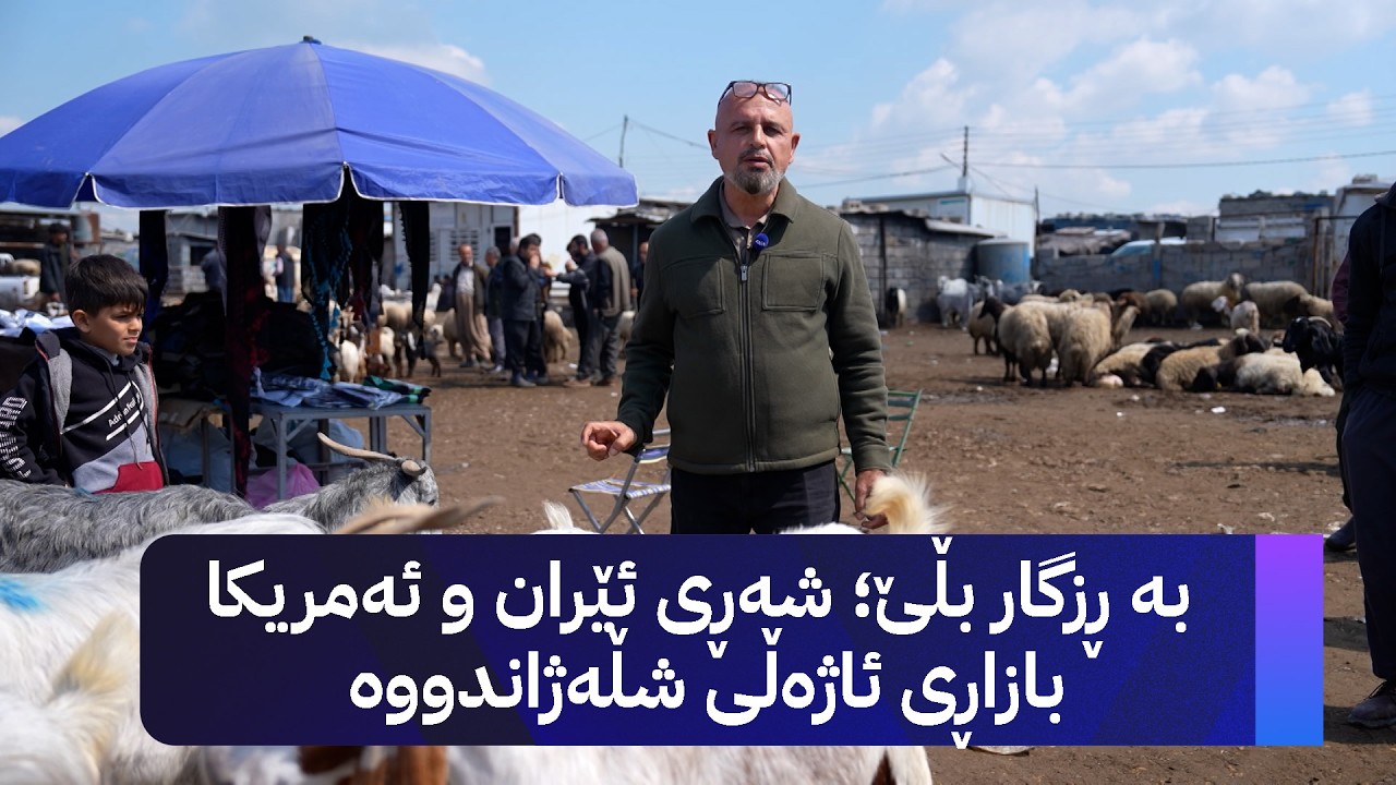 ڤیدیۆ | بە ڕزگار بڵێ؛ شەڕی ئێران و ئەمریکا بازاڕی ئاژەڵی شڵەژاندووە