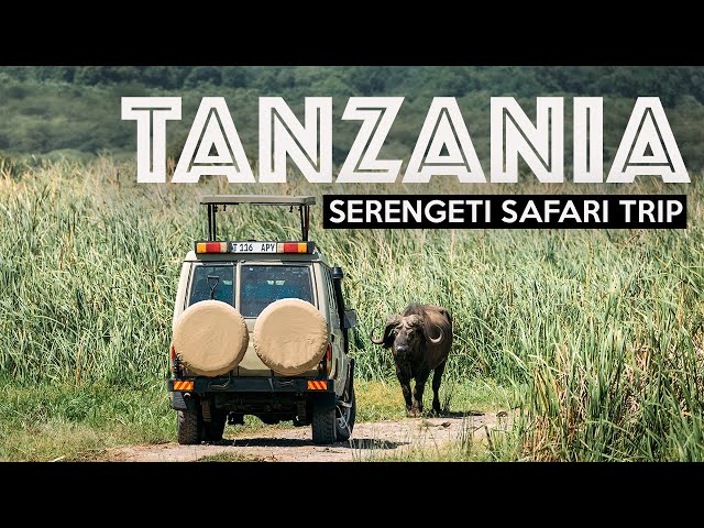 Vidéo Prononciation de Serengeti en Anglais