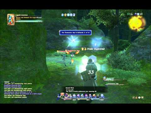 FFXIV Level 16 Thaumaturge doing Level 20 Leve Impish Intentions