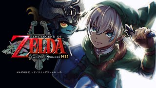 【ゼルダの伝説トワイライトプリンセス】『陰りの鏡』⑤【にじさんじ/イブラヒム】