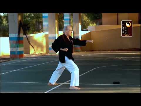 Basics: High Block Reverse Punch – Shihan Rod Lindgren