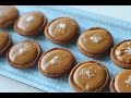 Ginger Nut Biscuits With Caramel Filling Download Youtube Videos Mp3
and Mp4 Ginger Nut Biscuits With Caramel Filling Download Youtube Videos Mp3
and Mp4