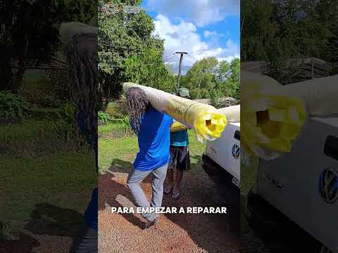 Tormenta en Misiones: volver a producir