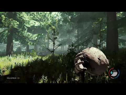 The Forest Sonunda ilk savunmamızı kurduk (bölüm3)