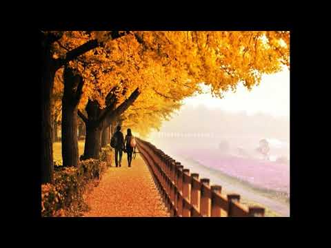 Bài thơ mưa nắng Sheet - Bảo Yến