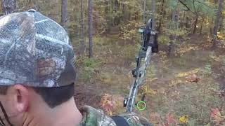 Doe Days of Georgia