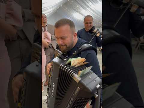 BORKO razvaljuje harmoniku 🔥