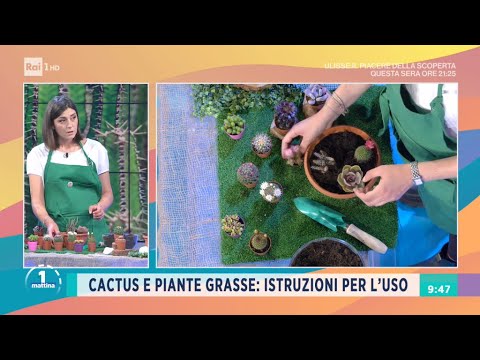 Il giardino di Castello Ruspoli a Vignanello - Unomattina 28/04/2021