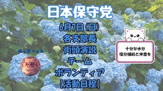 日本保守党　6月7日(日)　各支部長・街頭演説　チーム・ボランティアの皆様の【活動日程】暑さ対策にお気を付けください。