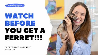What is a Ferret | Ferrets as Pets 101