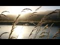 God's Peace is With You | Christian Guided Meditation Narrated by Roma Downey