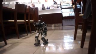 Thunderbolt Robot Unique Walking Gait