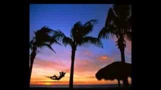 The Islands By R.J. Wheeler