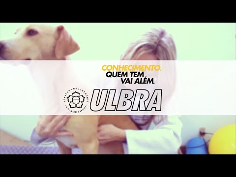 Campanha ULBRA - Medicina veterinária