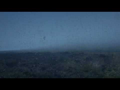 Classical music by Peter Sandberg | rainy weather