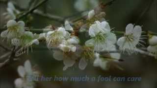 Just Say I Love Her -Engelbert Humperdinck   ,Plum blossoms,720P HD
