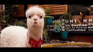 Hotel Union Cusco, discover our hotel