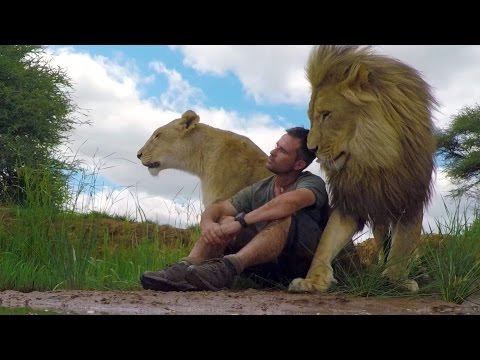 An Unbreakable Bond | The Lion Whisperer