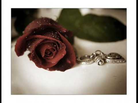 Shivan Zaxoli 25 Videos Reverbnation