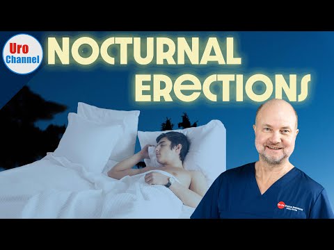 You NEED morning erections! WHY do they occur? | UroChannel