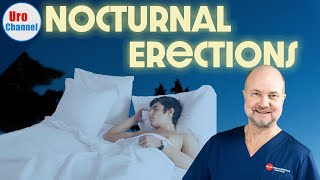 You NEED morning erections! WHY do they occur? | UroChannel