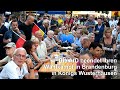 AfD beendet ihren Wahlkampf in Brandenburg in Königs Wusterhausen | AFP