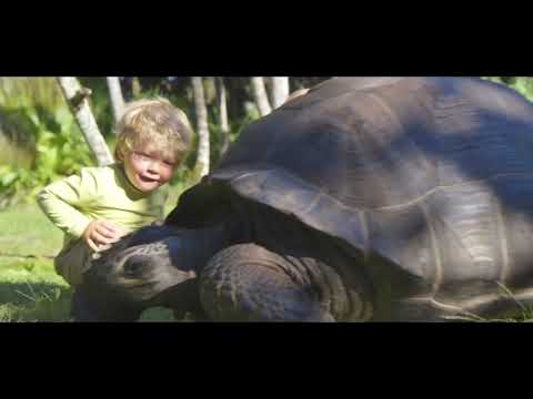 Alphonse Island | Ilhas Seychelles