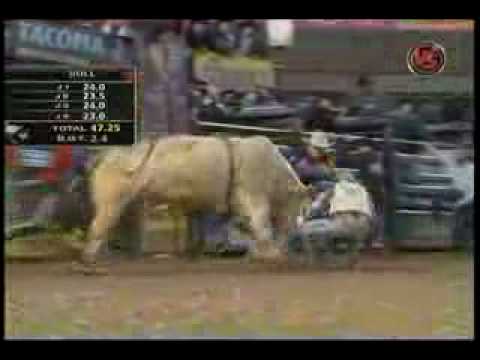 Bull rider Pistol Robinson VS White Magic